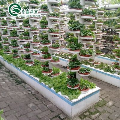 Generatore di CO2 per serre per serre agricole multi-span