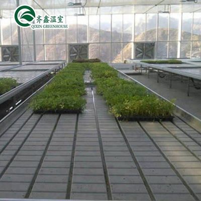 Generatore di CO2 per serre per serre agricole multi-span