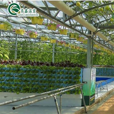 Generatore di CO2 per serre per serre agricole multi-span
