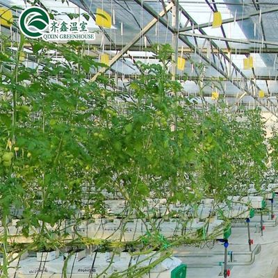 Sistemi di coltivazione idroponica all'interno protetti da pellicola PO per serre