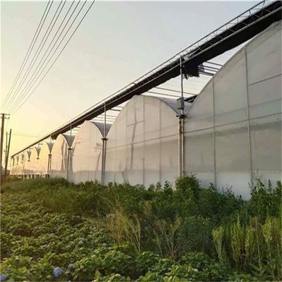 PO Serra a strato unico per l'agricoltura
