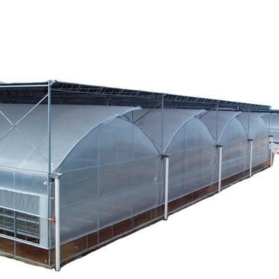 Film per serre multi-span personalizzato per la protezione UV e le condizioni di crescita ottimali