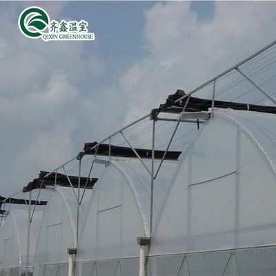 Film per serre multi-span personalizzato per la protezione UV e le condizioni di crescita ottimali