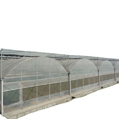 Ventilazioni per una crescita ottimale di pomodori e altre verdure in serra