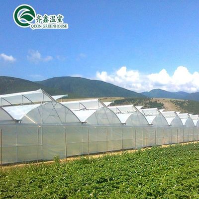 Ventilazioni per una crescita ottimale di pomodori e altre verdure in serra