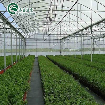 Ventilazioni per una crescita ottimale di pomodori e altre verdure in serra