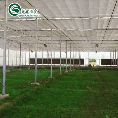 Ventilazioni per una crescita ottimale di pomodori e altre verdure in serra