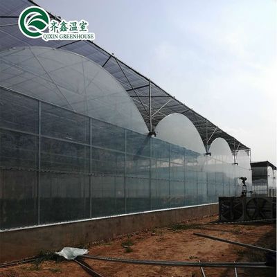 Rivoluzionare l'agricoltura all'interno e all'esterno Sistema di ombra per serra idroponica