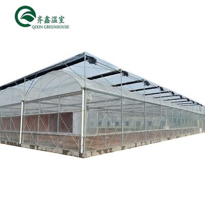 Serra idroponica a doppio strato per la coltivazione di pomodori in ambiente controllato