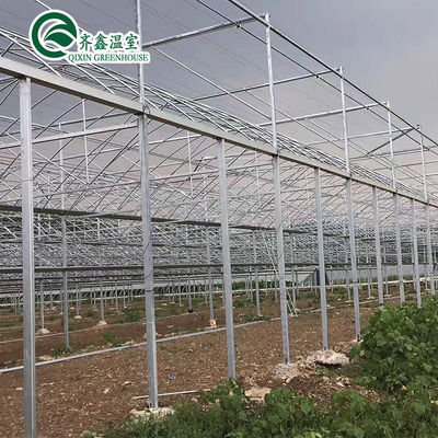 Serra idroponica a doppio strato per la coltivazione di pomodori in ambiente controllato
